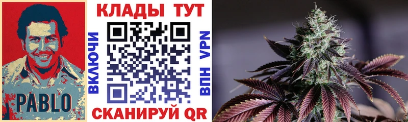 Купить наркотики Долгопрудный Псилоцибиновые грибы  Бошки Шишки  COCAIN  Альфа ПВП  АМФ 