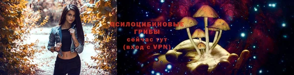 таблы Арсеньев